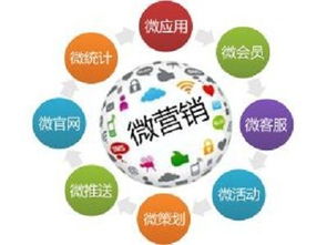 南京小程序與軟件開發公司選擇指南 如何找到可靠的服務商